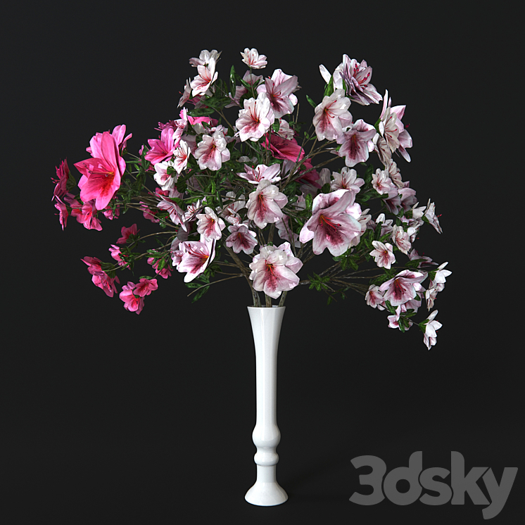 Azalea 3DS Max - thumbnail 1