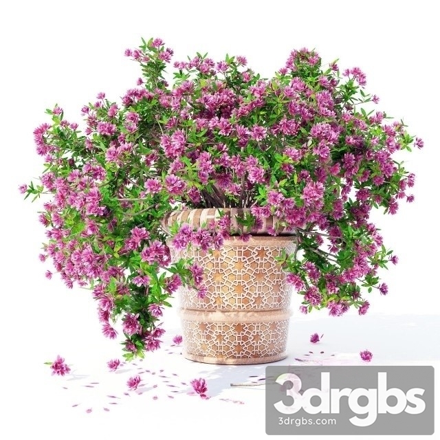 Azalea Bouquet 4 3dsmax Download - thumbnail 1