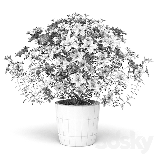 Azalea Plant 3ds Max - thumbnail 3