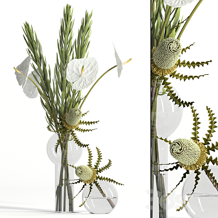 Banksia anthurium and Leucadendron 3DS Max - thumbnail 1