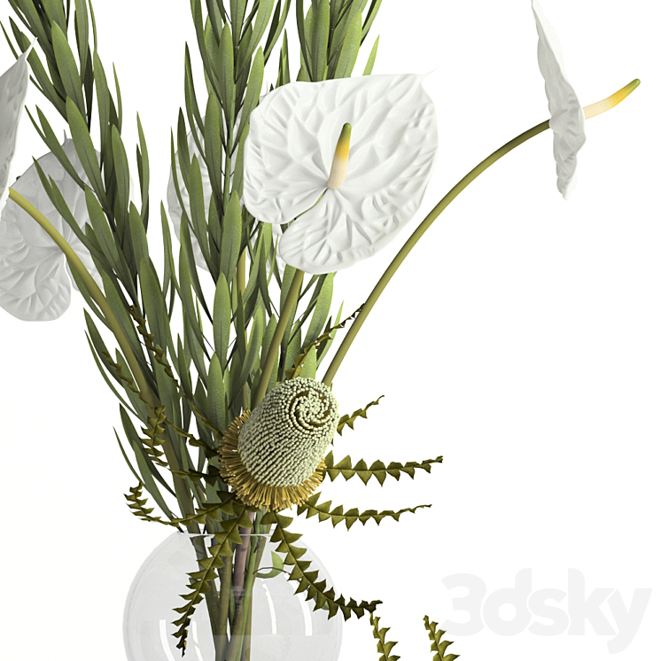 Banksia anthurium and Leucadendron 3DS Max - thumbnail 2