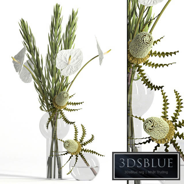 Banksia anthurium and Leucadendron 3DS Max - thumbnail 3