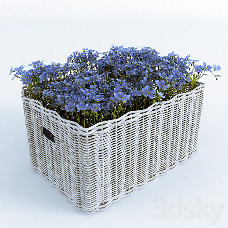 Basket with Forget-Me 3DS Max - thumbnail 1