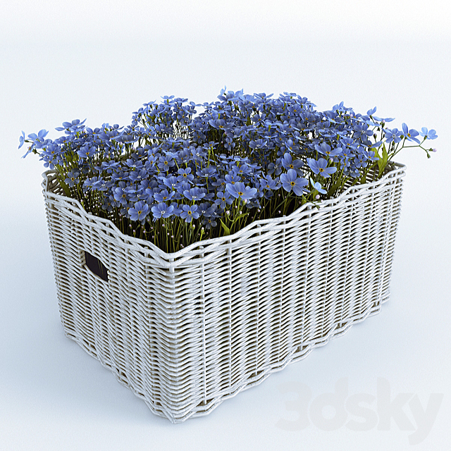 Basket with Forget-Me 3DS Max Model - thumbnail 1