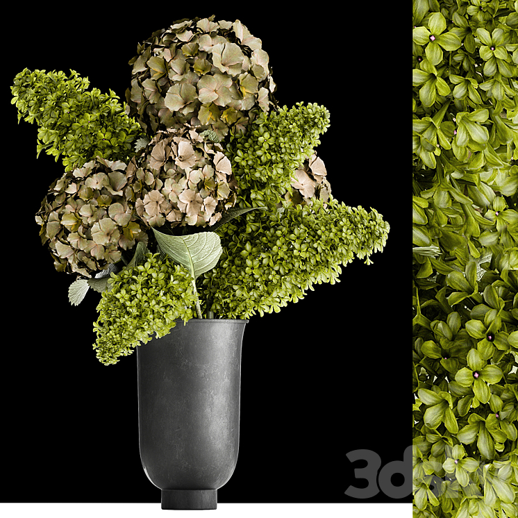 Beautiful modern bouquet of green flowers in a black vase with Hydrangea green Lilac. 169 3DS Max Model - thumbnail 1
