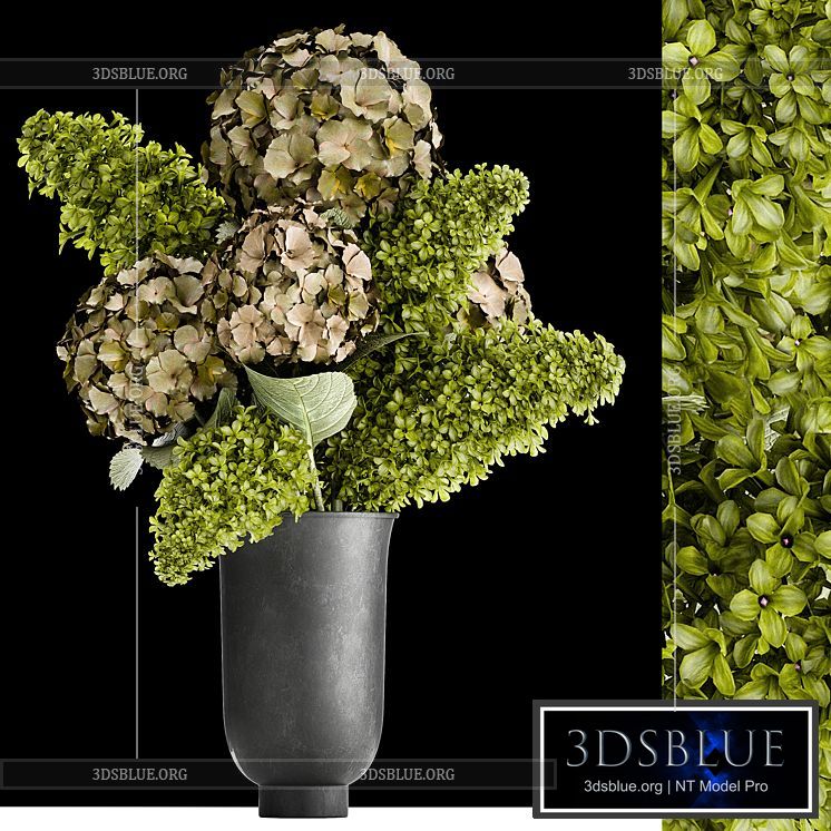 Beautiful modern bouquet of green flowers in a black vase with Hydrangea green Lilac. 169 3DS Max - thumbnail 3