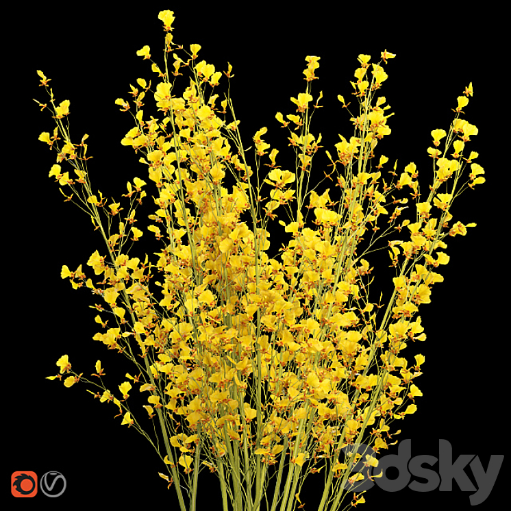 Big bouquet. Orchid oncidium in a vase 3DS Max - thumbnail 2