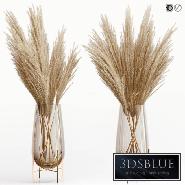 Big dried flower pampas grass in glass vase 5 3DS Max - thumbnail 3