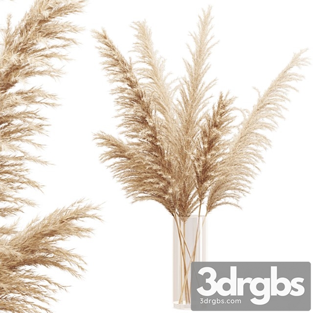 Big dried flower pampas grass in glass vase - thumbnail 1