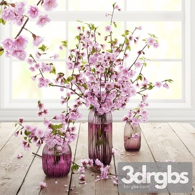 Blooming Cherry 3dsmax Download - thumbnail 1