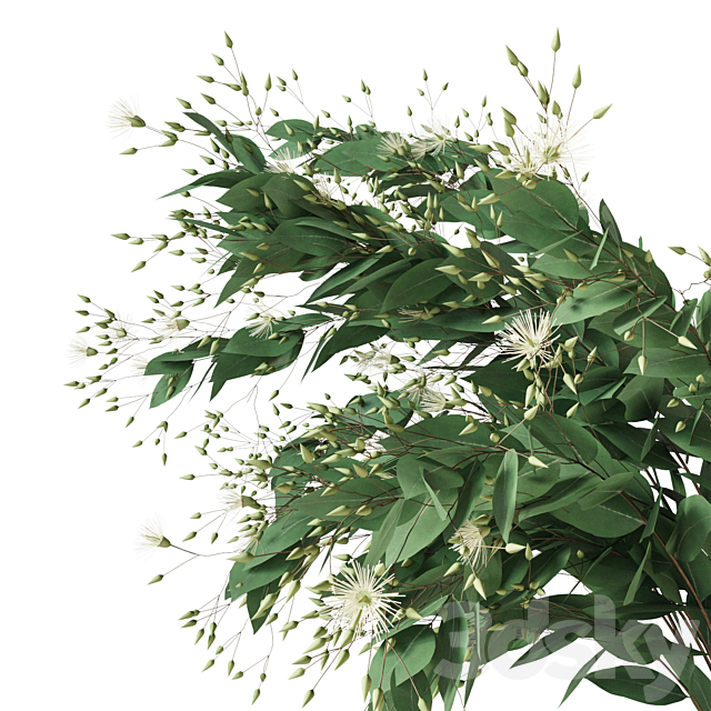 Boquet eucalyptus 3DSMax File - thumbnail 2