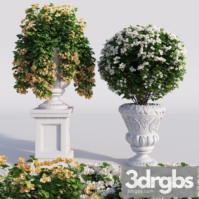 Bougainvillea Planter Set 1 3dsmax Download - thumbnail 1