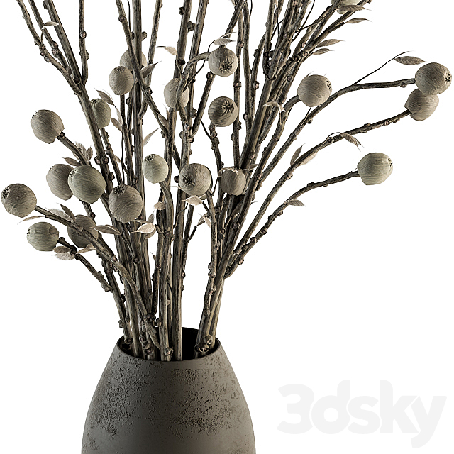 Bouquet 32 – Dried Plant Papavet Bouquet 3DS Max Model - thumbnail 2