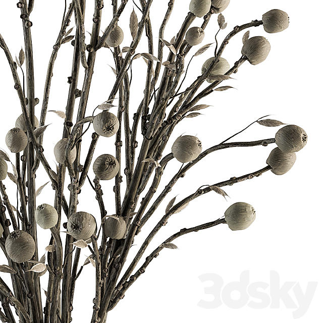 Bouquet 32 – Dried Plant Papavet Bouquet 3DS Max Model - thumbnail 3