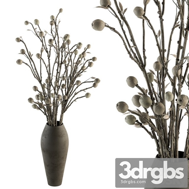 Bouquet 32 Dried Plant Papavet Bouquet 3dsmax Download - thumbnail 1