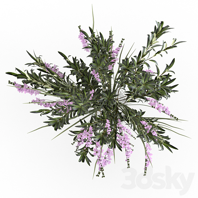 Bouquet. 3DS Max Model - thumbnail 3