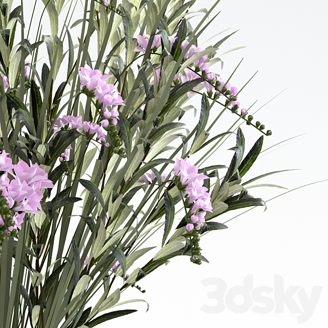 Bouquet. 3DS Max Model - thumbnail 4