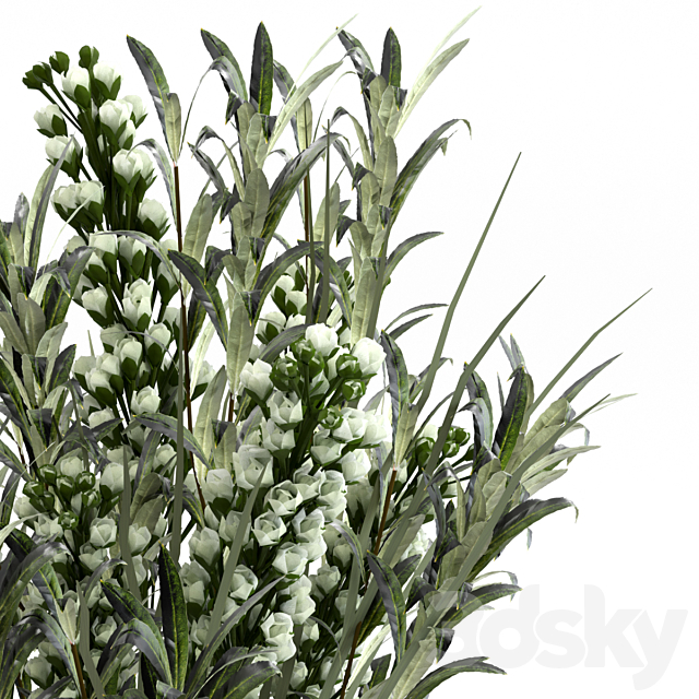 Bouquet 3DS Max Model - thumbnail 4