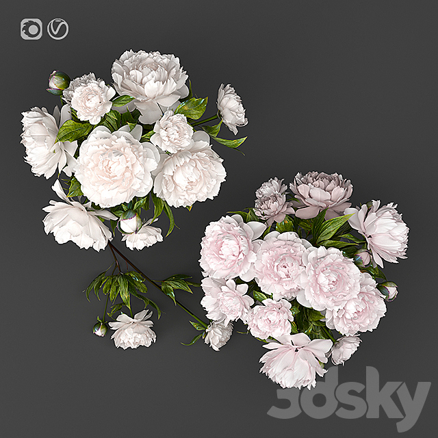 Bouquet 5 3DSMax File - thumbnail 3