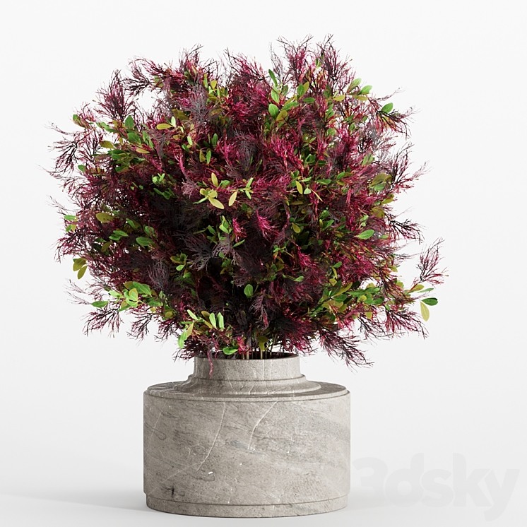 bouquet 7 3DS Max - thumbnail 1