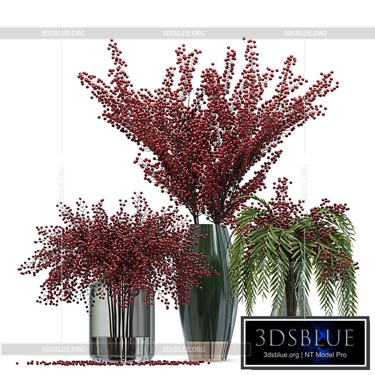 Bouquet berries vases 3DS Max - thumbnail 3