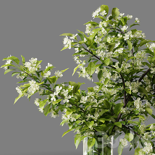 Bouquet blooming branch spring flowers in a glass vase 3ds Max - thumbnail 3