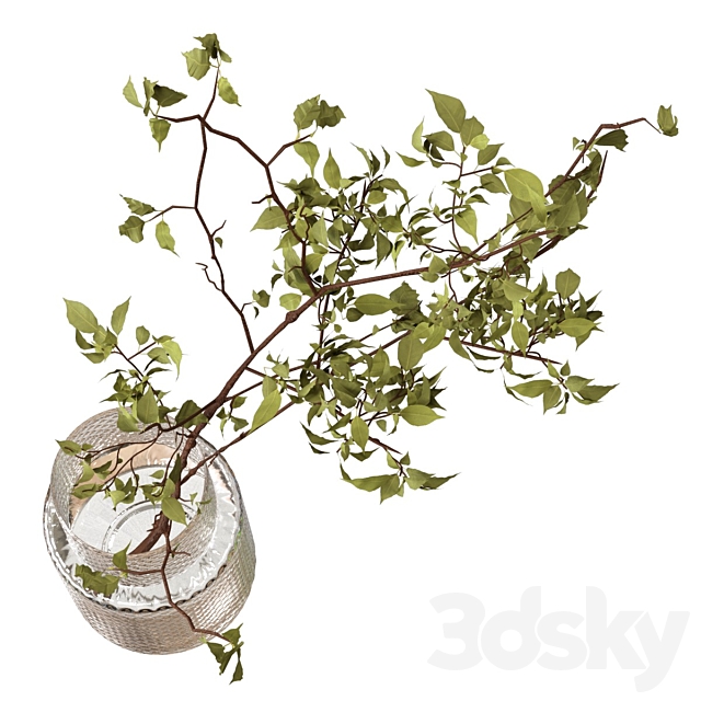 Bouquet branch in a vase 3ds Max - thumbnail 3