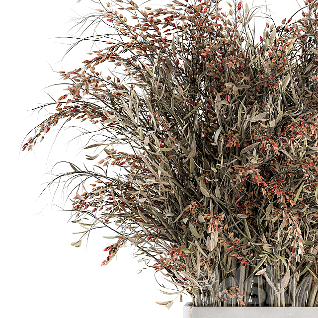 Bouquet – Branch in vase 37 3DSMax File - thumbnail 3