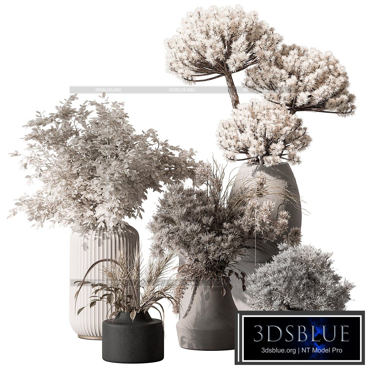 Bouquet – Dried Plant Set 105 3DS Max - thumbnail 3