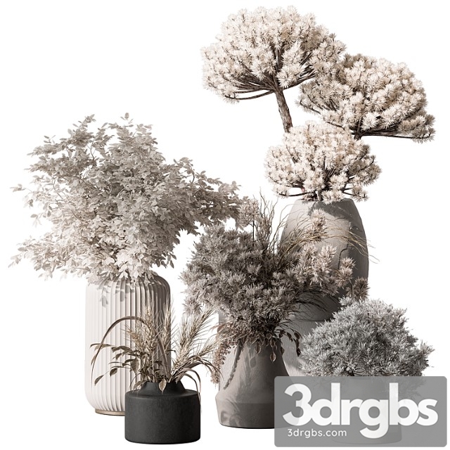 Bouquet Dried Plant Set 105 3dsmax Download - thumbnail 1