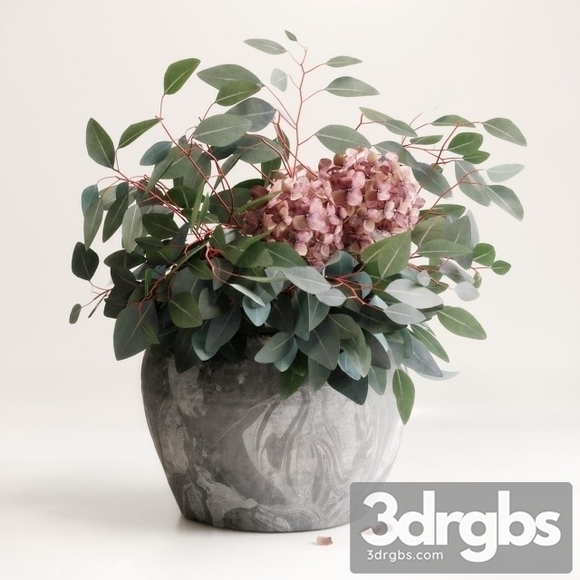 Bouquet Eucalyptus Hydrangea 3dsmax Download - thumbnail 1