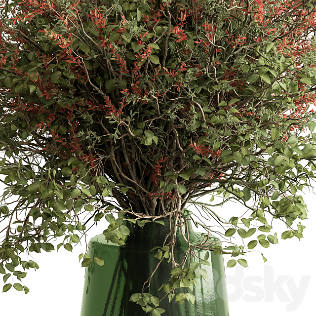 Bouquet – Green Branch 115 3DS Max Model - thumbnail 2