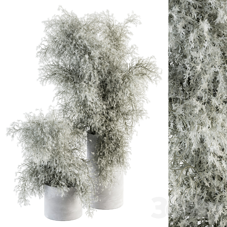 Bouquet – Green Branch in Concrete vase 79 3DS Max - thumbnail 1