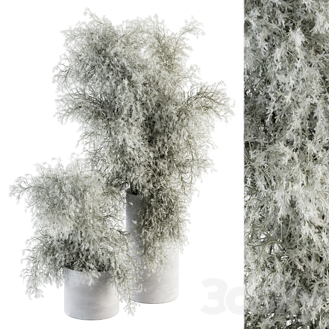 Bouquet – Green Branch in Concrete vase 79 3DSMax File - thumbnail 1