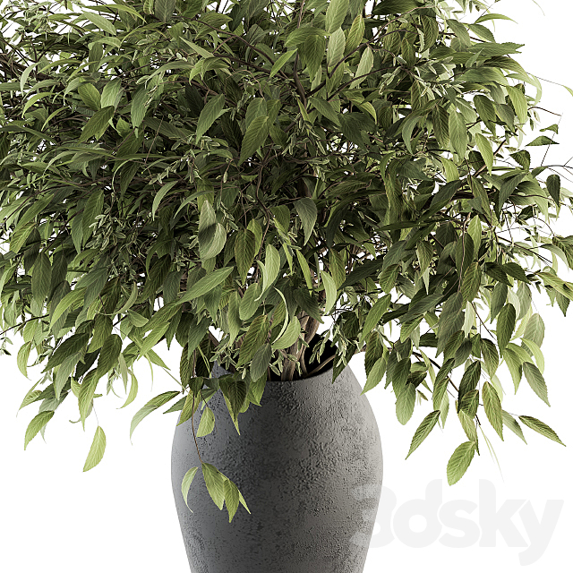 Bouquet – Green Branch in vase 45 3ds Max - thumbnail 3