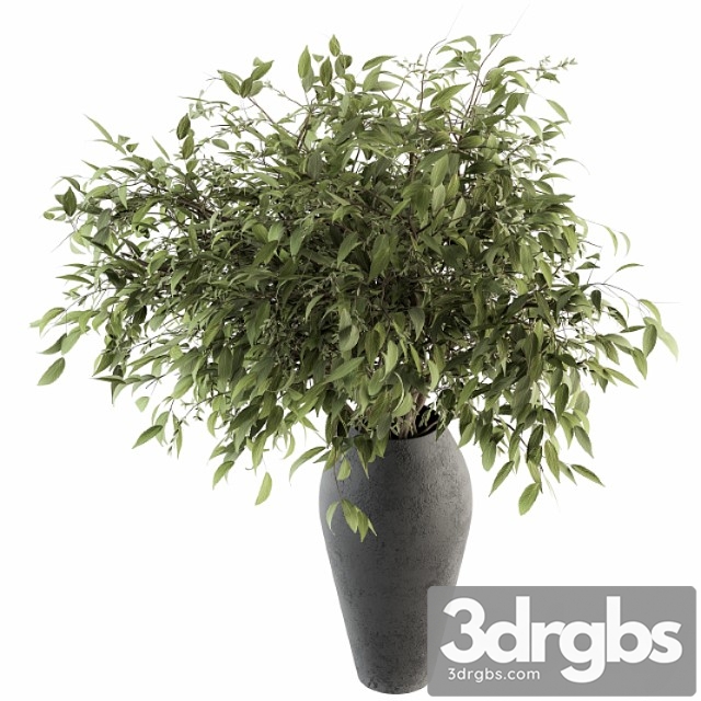 Bouquet Green Branch In Vase 45 3dsmax Download - thumbnail 1