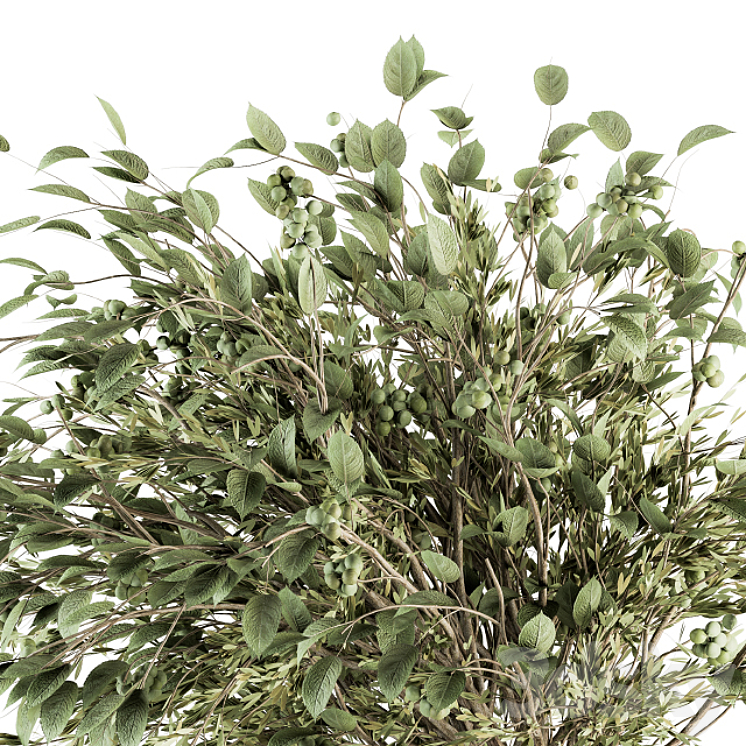 Bouquet – Green Branch in vase 59 3DS Max - thumbnail 2