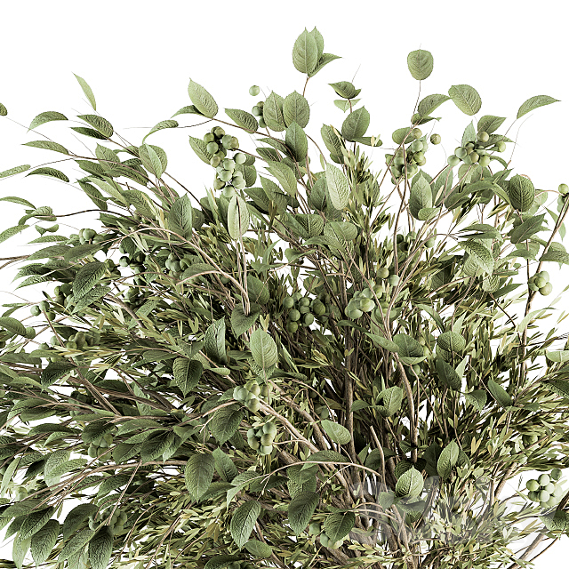 Bouquet – Green Branch in vase 59 3DS Max Model - thumbnail 2