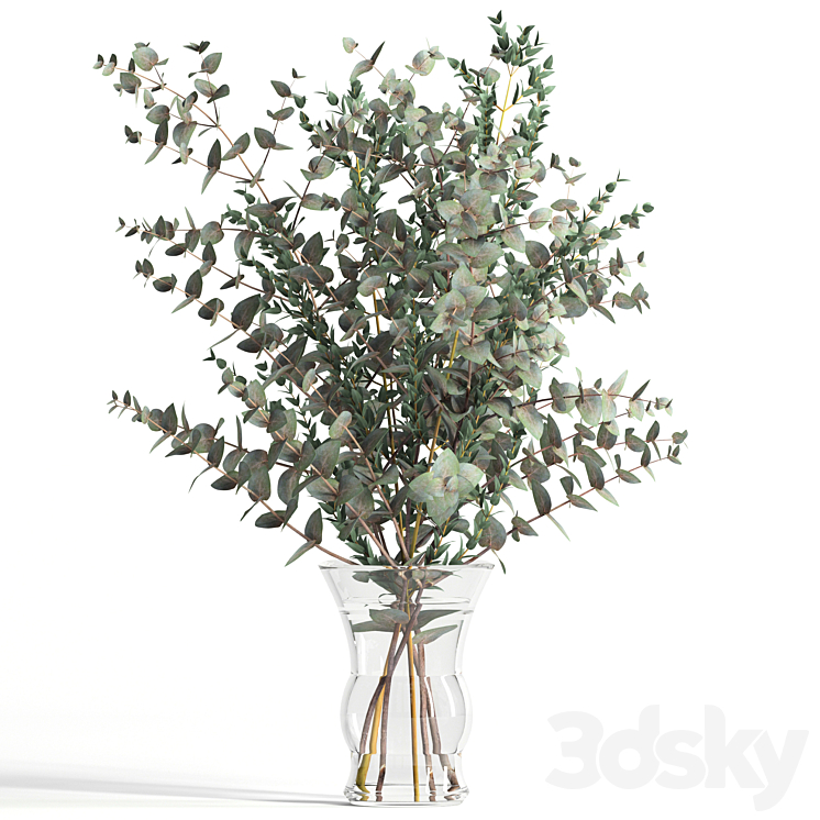 Bouquet of 2 types of eucalyptus 3DS Max - thumbnail 1