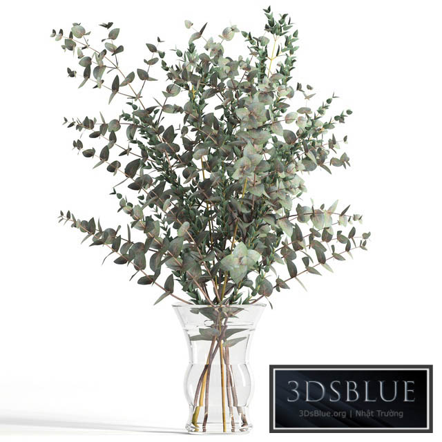 Bouquet of 2 types of eucalyptus 3DS Max - thumbnail 3