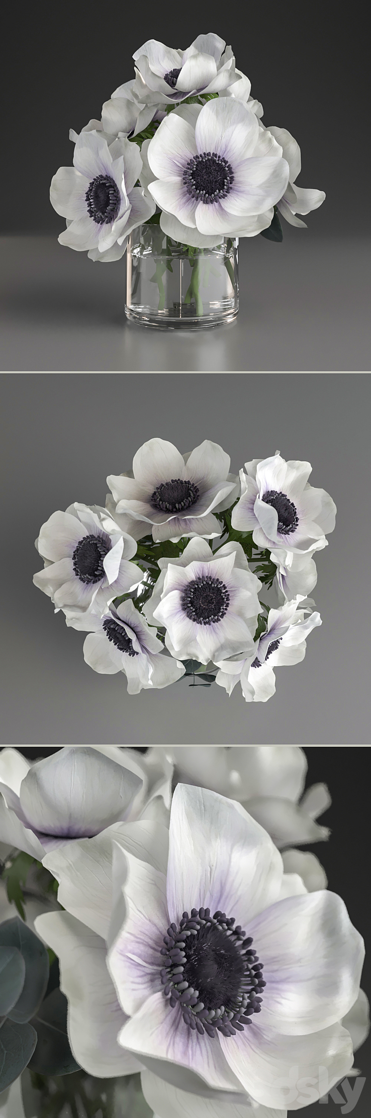 Bouquet of anemone 3DS Max - thumbnail 2