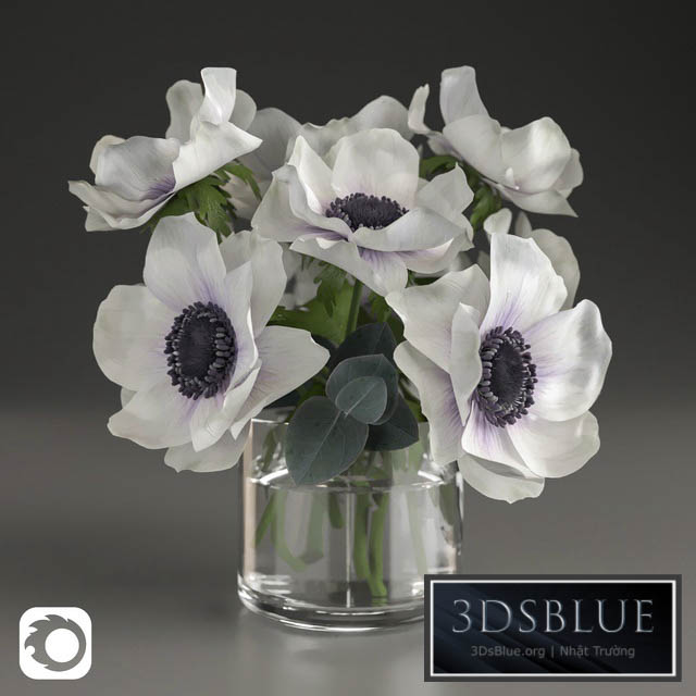 Bouquet of anemone 3DS Max - thumbnail 3