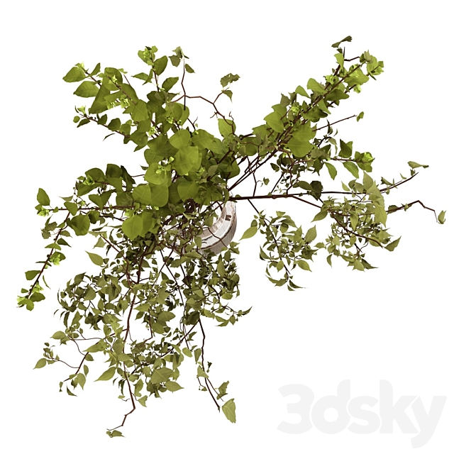 Bouquet of branches with foliage 3ds Max - thumbnail 3