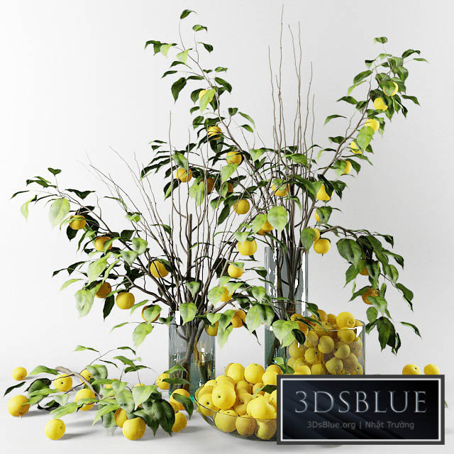 Bouquet of Chinese apple tree branches with yellow apples 3DS Max - thumbnail 3