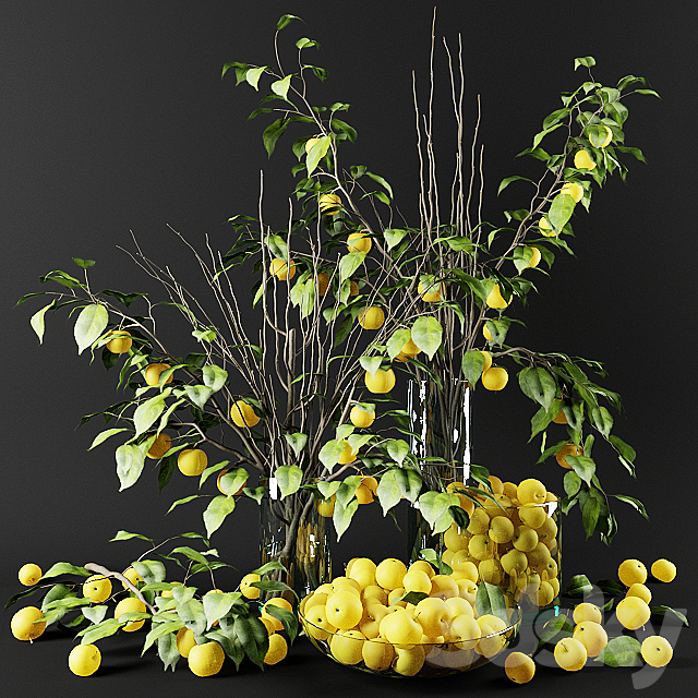 Bouquet of Chinese apple tree branches with yellow apples 3DSMax File - thumbnail 2