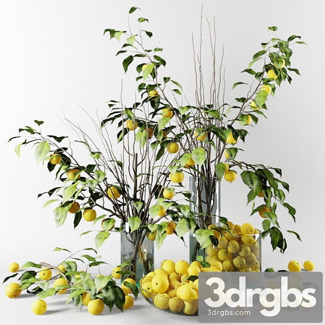 Bouquet of chinese apple tree branches with yellow apples - thumbnail 1