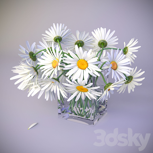 Bouquet of daisies 3DS Max Model - thumbnail 2