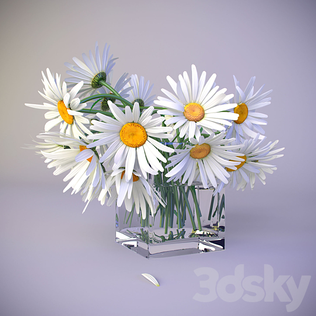 Bouquet of daisies 3DS Max Model - thumbnail 3