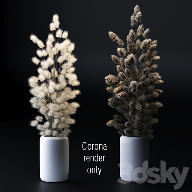 Bouquet of dried flowers. 2 models 3DSMax File - thumbnail 1