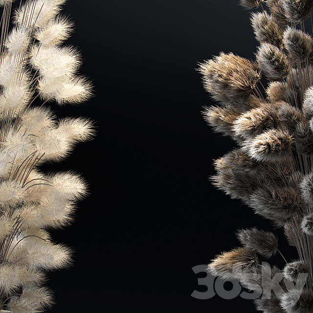 Bouquet of dried flowers. 2 models 3DSMax File - thumbnail 2